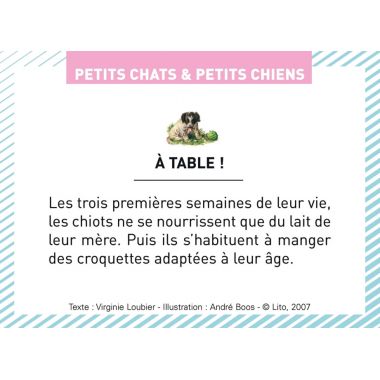 Boite de 100 images Petits chats et petits chiens