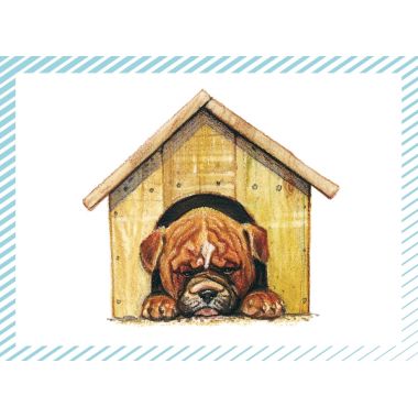 Boite de 100 images Petits chats et petits chiens