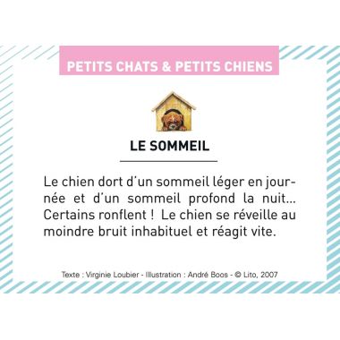 Boite de 100 images Petits chats et petits chiens