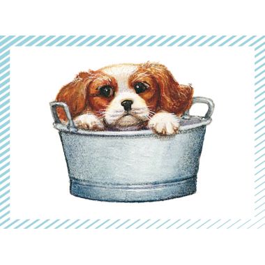 Boite de 100 images Petits chats et petits chiens