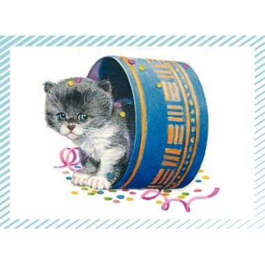 Boite de 100 images Petits chats et petits chiens