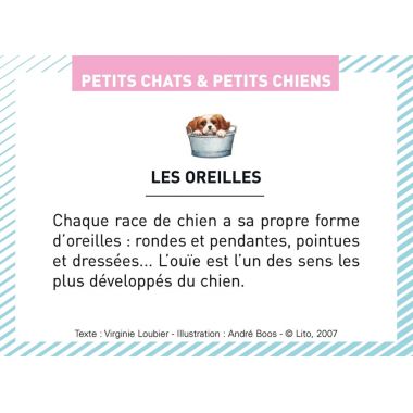 Boite de 100 images Petits chats et petits chiens