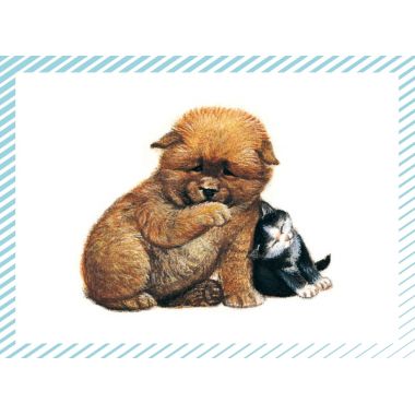 Boite de 100 images Petits chats et petits chiens