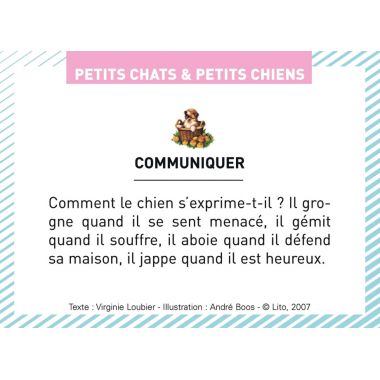 Boite de 100 images Petits chats et petits chiens