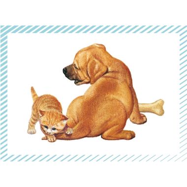 Boite de 100 images Petits chats et petits chiens
