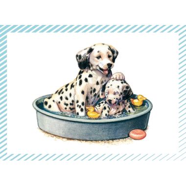 Boite de 100 images Petits chats et petits chiens