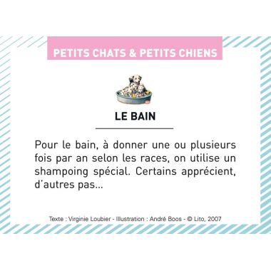 Boite de 100 images Petits chats et petits chiens