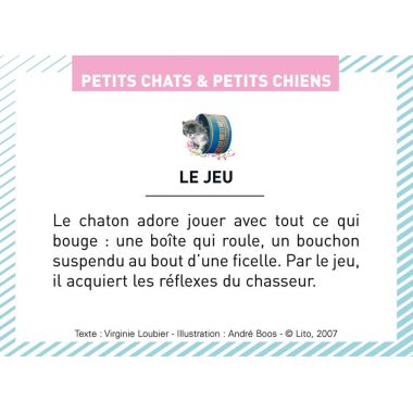 Boite de 100 images Petits chats et petits chiens