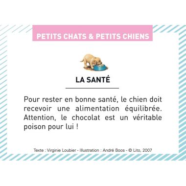 Boite de 100 images Petits chats et petits chiens