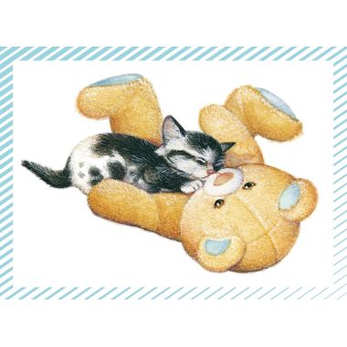 Boite de 100 images Petits chats et petits chiens