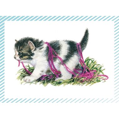 Boite de 100 images Petits chats et petits chiens