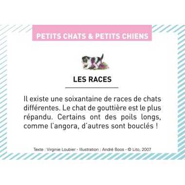 Boite de 100 images Petits chats et petits chiens