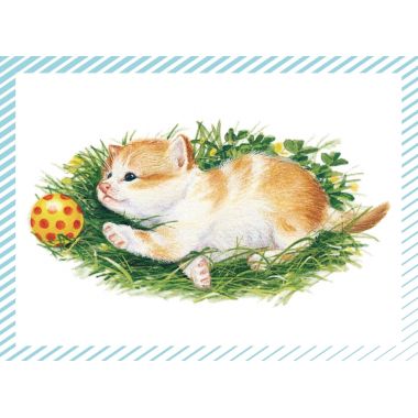 Boite de 100 images Petits chats et petits chiens