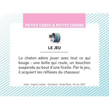 Boite de 100 images Petits chats et petits chiens