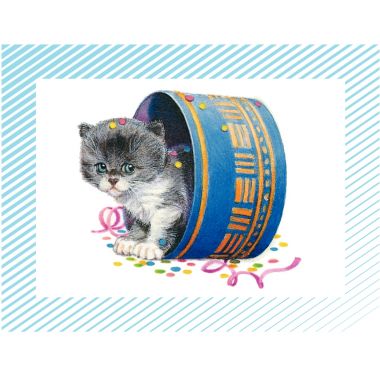 Boite de 100 images Petits chats et petits chiens