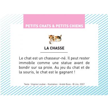 Boite de 100 images Petits chats et petits chiens
