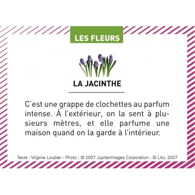 Boite de 100 images Les Flaconeurs