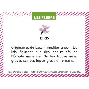 Boite de 100 images Les Flaconeurs
