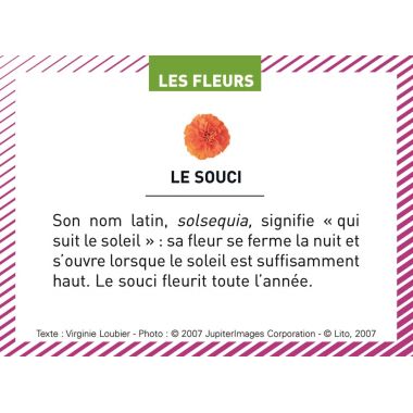 Boite de 100 images Les Flaconeurs