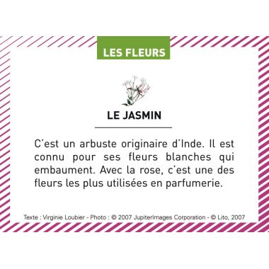 Boite de 100 images Les Flaconeurs