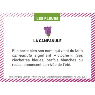 Boite de 100 images Les Flaconeurs