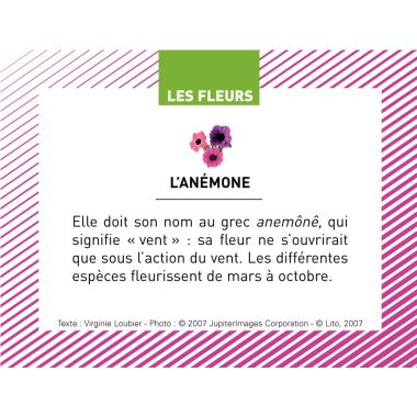 Boite de 100 images Les Flaconeurs