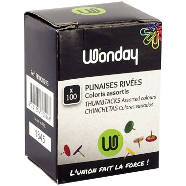 Wonday - Boite de 100 punaises tête couleur - FFI000293