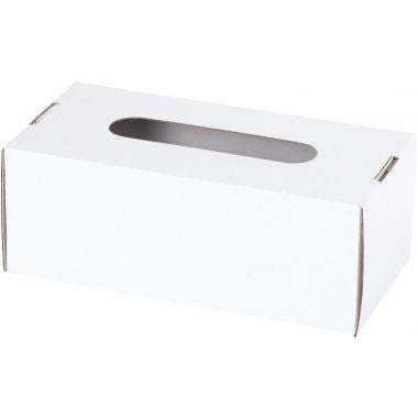 Lot de 10 boîtes à mouchoirs en carton blanc