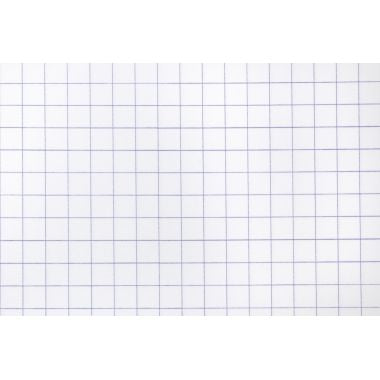 Piqûre 96 pages MAJUSCULE, format 24x32 cm, papier blanc 90g, quadrillé 5x5, couverture polypropylène incolore