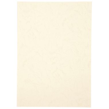 Paquet de 100 couvertures grain cuir 250g A4 ivoire