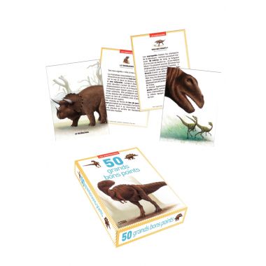 Boite de 50 grandes images Les dinosaures