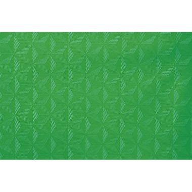 Paquet de 30 protège-cahiers grain 10/100ème format 17 x 22 cm coloris vert