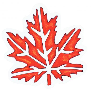 Lot de 12 pochoirs feuilles d'arbres