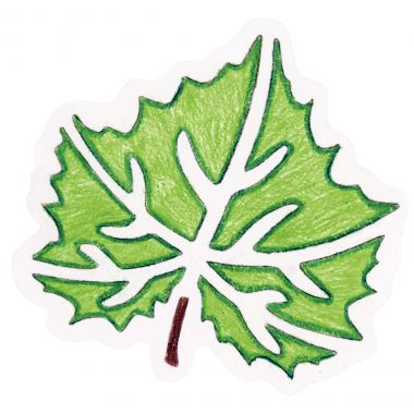 Lot de 12 pochoirs feuilles d'arbres