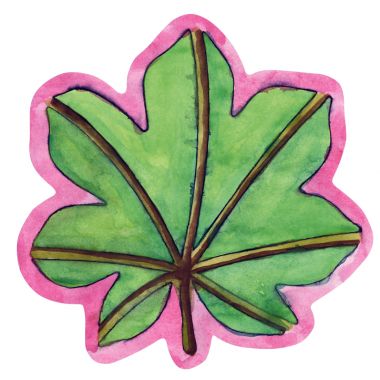 Lot de 12 pochoirs feuilles d'arbres