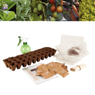 Carton de 30 sachets de graines de légumes bio