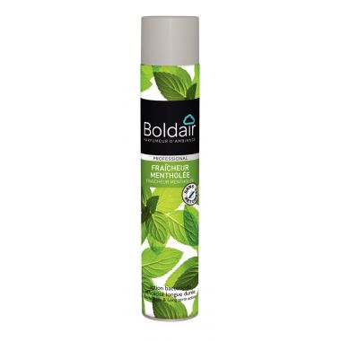 Aérosol 500ml désodorisant bactéricide menthe