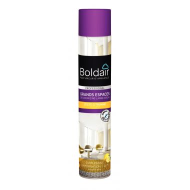 Aérosol 750ml destructeur d'odeurs citron