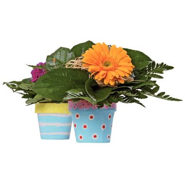 Lot de 10 pots de fleurs en carton, hauteur 10 cm