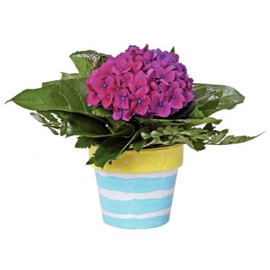 Lot de 10 pots de fleurs en carton, hauteur 10 cm
