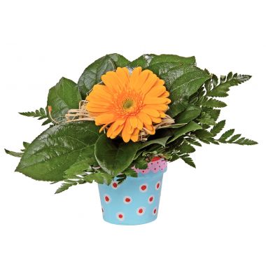 Lot de 10 pots de fleurs en carton, hauteur 10 cm
