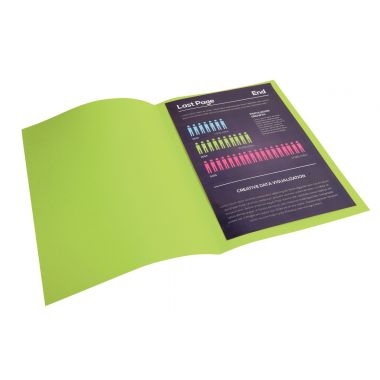 Exacompta - Paquet de 100 chemises 210g ROCK"S format 24x32 cm, vert - 210013E