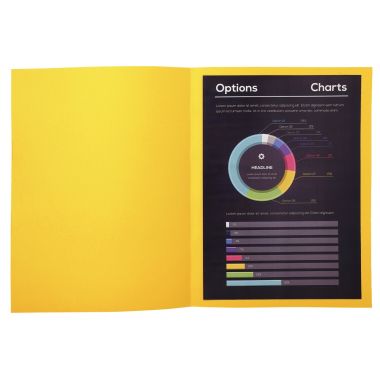 Exacompta - Paquet de 100 chemises 210g ROCK"S format 24x32 cm, citron - 210011E