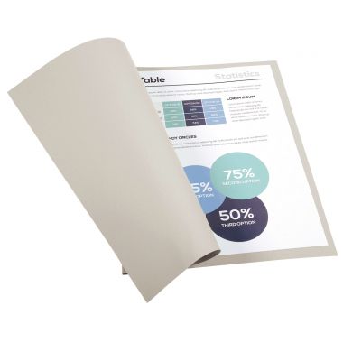 Paquet de 100 chemises 220g FOREVER, format 24x32 cm, gris