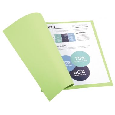 Exacompta - Paquet de 100 chemises 220g FOREVER, format 24x32 cm, vert pré - 410004E