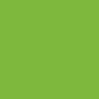 Exacompta - Paquet de 100 chemises 210g ROCK"S format 24x32 cm, vert - 210013E