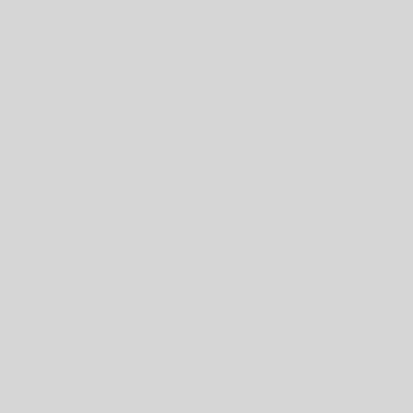 Exacompta - Paquet de 250 sous-chemises 60g format 22x31 cm gris - 850009E