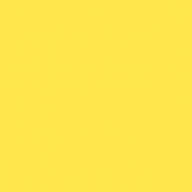 Paquet de 100 chemises 220g FOREVER, format 24x32 cm, jaune