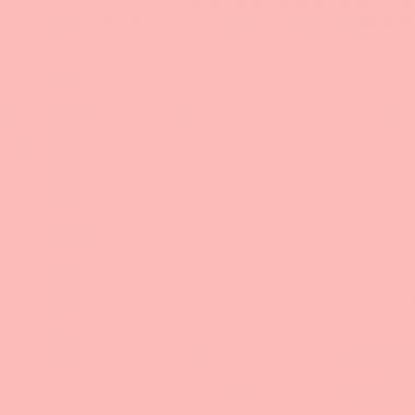 Exacompta - Paquet de 100 chemises 220g FOREVER, format 24x32 cm, rose - 410003E