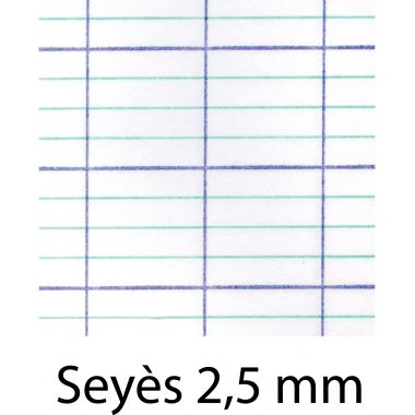 Cahier d'apprentissage MAJUSCULE 17x22 cm, piqûre 32 pages, seyès 2,5mm, couverture PP bleu